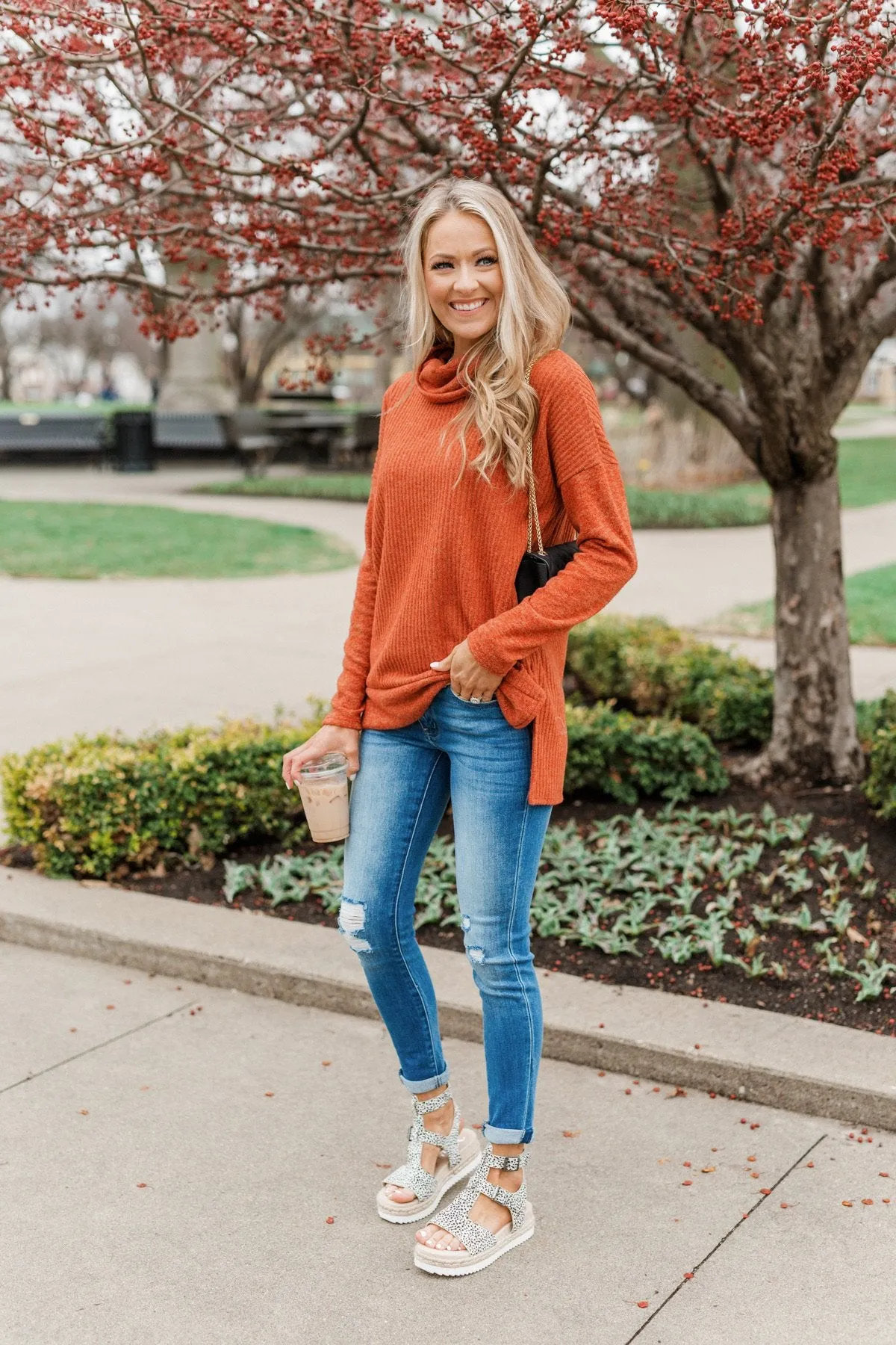 Cherishing Moments Turtle Neck Sweater- Cinnamon