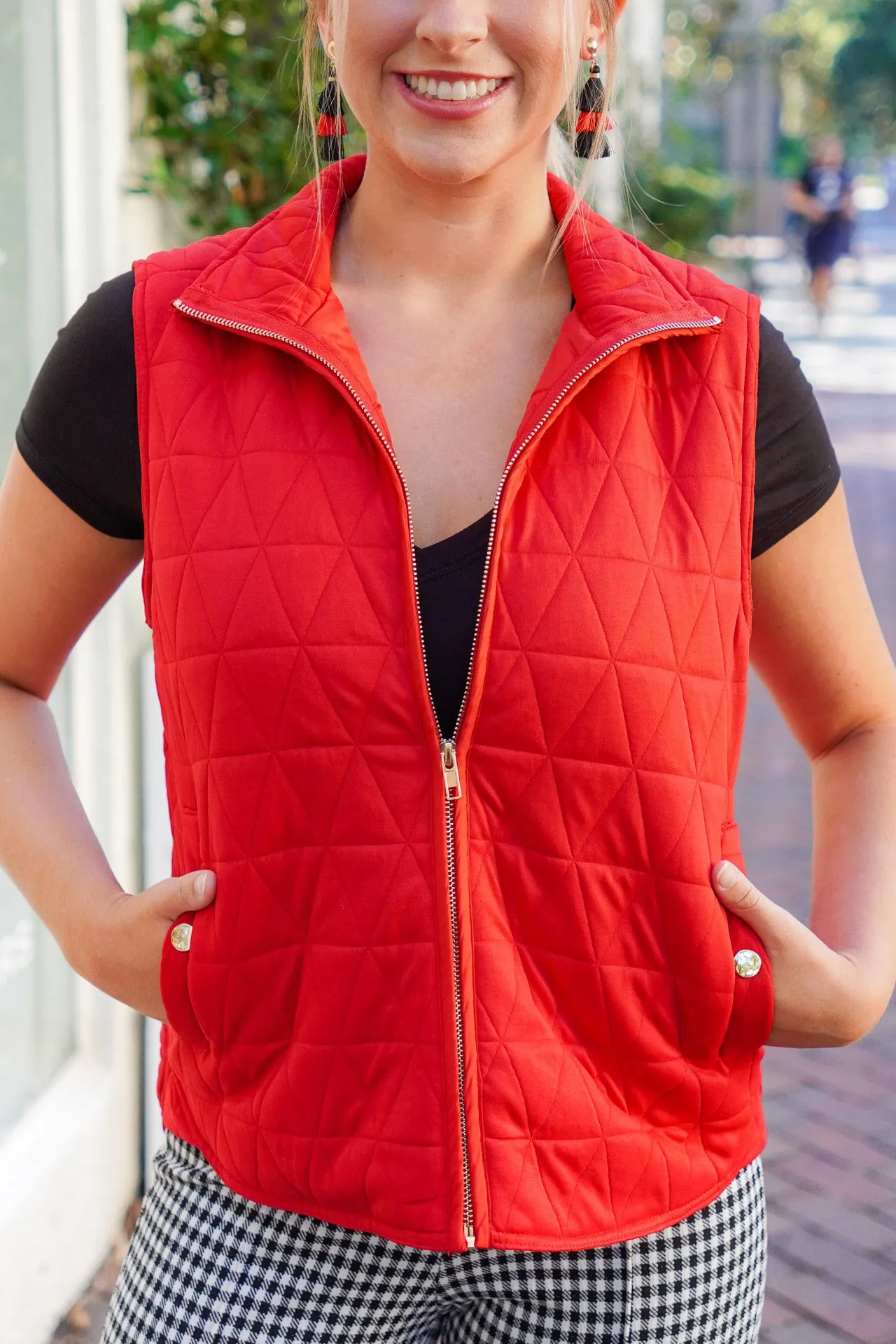 Mountain Side Vest